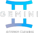 Gemini Cleaning